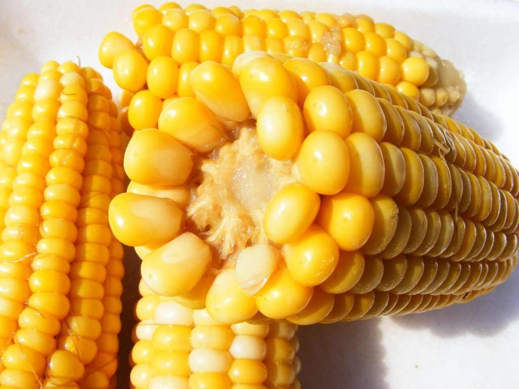 how long to cook corn on the cob