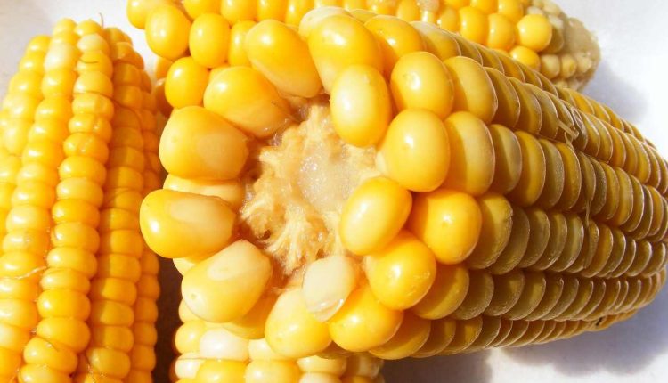 how long to cook corn on the cob