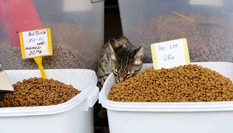 Low Carb Dry Cat Food Recipes