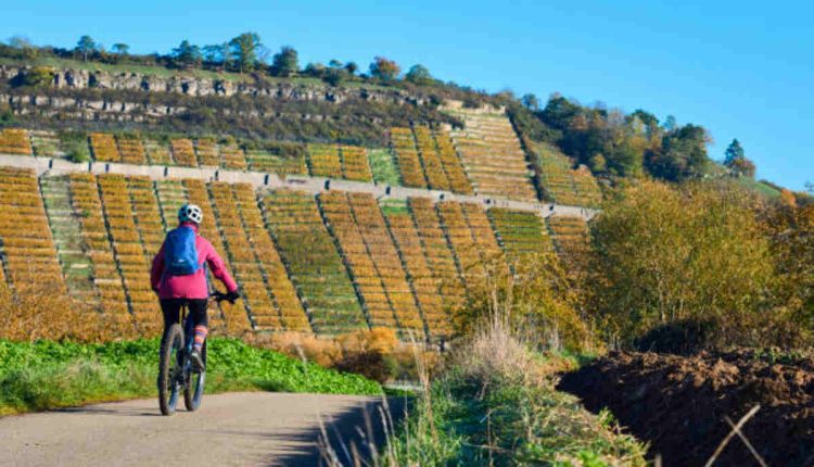 Yamaha Touring Motorcycles
