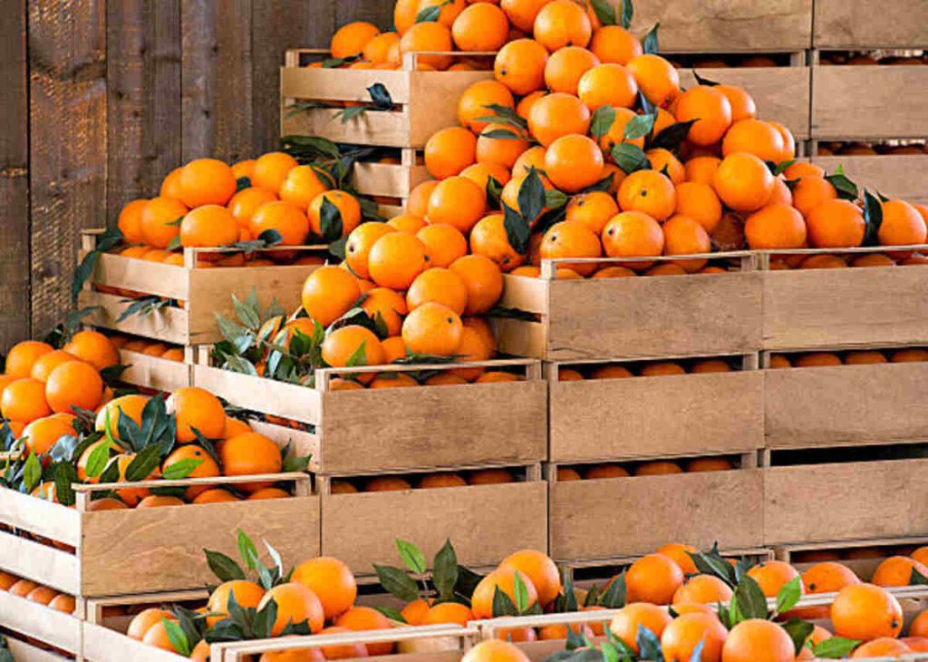 Why Use a Fruit Crate