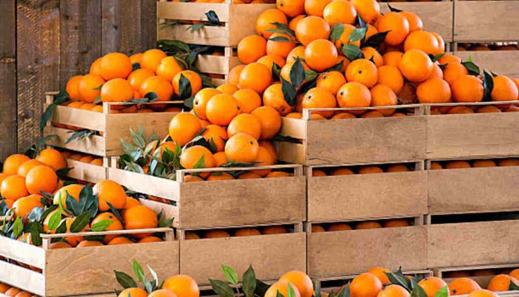 Why Use a Fruit Crate