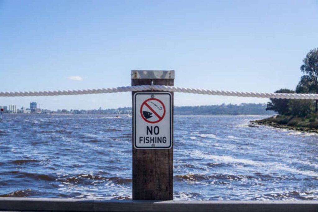 The River of Denial