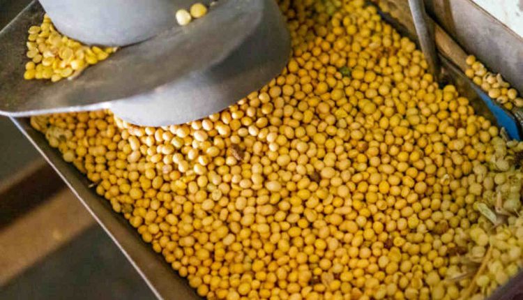 Comparing Different Types of Dal Mill Machines